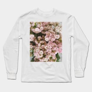 Pink Kalanchoe Plant Long Sleeve T-Shirt